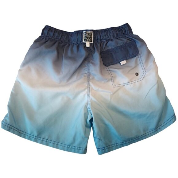 🪻BOGO🪻 Mens Board Shorts Sz 32 Ombre Print‎ Trunks ISLAND HAZE - Picture 3 of 11